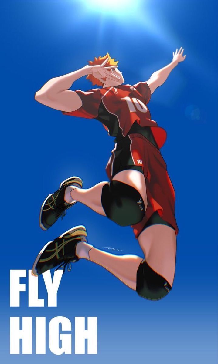 Haikyuu! Poster || Size 12x18 In